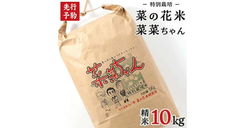 【ふるさと納税】【 先行予約 】【 10月 発送開始 】 令和6年産 コシヒカリ ( 精米 10kg ) 特別栽培 菜の花米 「菜菜ちゃん」 米 こめ ごはん ご飯 白米 国産 茨城県産 新生活 プレゼント 新生活応援 必要なもの 便利 おすすめ 消耗品 一人暮らし 二人暮らし 必要 こしひかり