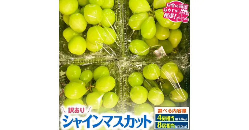 【ふるさと納税】＼ 選べる内容量 ／ （訳あり）シャインマスカット 4房 8房 【令和6年9月より発送開始】（県内共通返礼品：かすみがうら市産） 果物 フルーツ 不揃い わけあり 先行予約 家庭用 お菓子作り