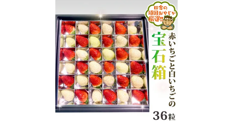 【ふるさと納税】赤いちごと白いちごの宝石箱　【令和6年12月から順次お届け】　田舎の頑固おやじが厳選！ 旬 フルーツ 豪華 果物 春 夏