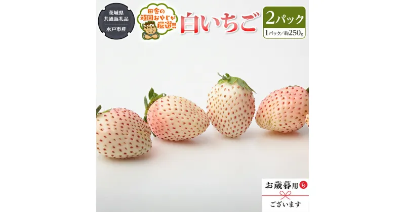 【ふるさと納税】白いちご 約250g×2パック【 令和6年12月より発送開始 】 （ 茨城県共通返礼品：水戸市産 ）田舎の頑固おやじが厳選！ 茨城県 県産 人気 厳選 果物 くだもの 旬 旬の果物 旬のフルーツ ギフト 贈答 いちご イチゴ 苺