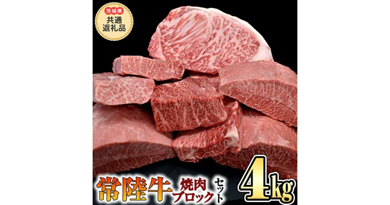 【ふるさと納税】【 常陸牛 】焼肉 ブロックセット合計 4kg（茨城県 共通返礼品 製造地：守谷市） 国産 焼き肉 牛肉 やきにく ブランド牛 肉 サーロイン キャンプ 黒毛和牛 和牛 国産黒毛和牛 国産牛