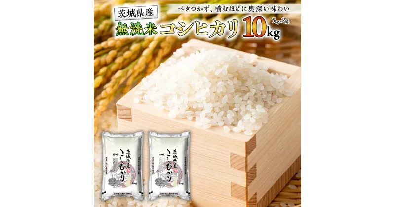 【ふるさと納税】 【新米】令和6年産 無洗米 茨城 こしひかり 10kg（無洗米5kg×2本） 無洗米 国産 お米 米 コメ 白米 ライス ご飯 おいしい コシヒカリ ごはん 新生活 プレゼント 新生活応援 必要なもの 便利 おすすめ 消耗品