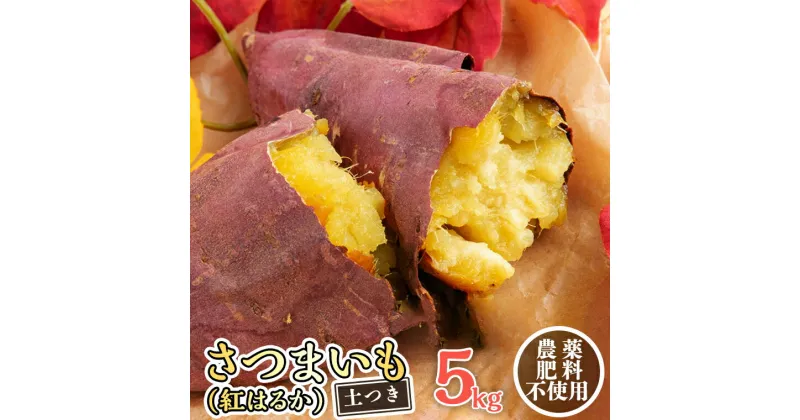 【ふるさと納税】さつまいも ( 紅はるか ） 5kg 【 農薬・肥料不使用 】 土つき オーガニック 無農薬 高糖度 肥料不使用 自然栽培 スイーツ 焼き芋 天ぷら スイートポテト 秋 べにはるか 食物繊維