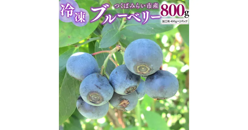 【ふるさと納税】つくばみらい市 産 冷凍 ブルーベリー 800g ( 400g ×2パック ) 国産 農薬無使用 自家農場 果物 就労継続支援 フルーツ おいしい 冷凍ブルーベリー フリーズ