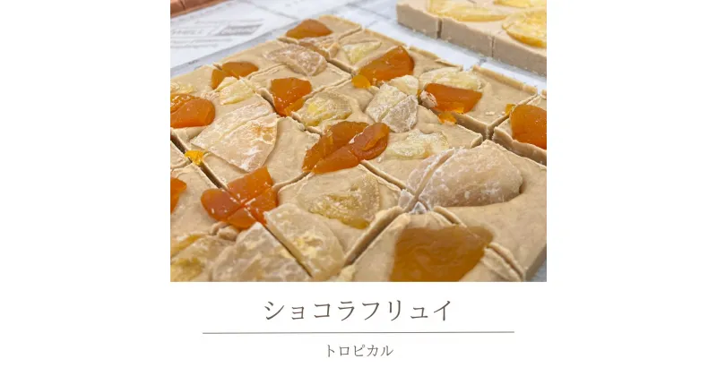 【ふるさと納税】 ショコラフリュイ　トロピカル チョコレート チョコ スイーツ デザート 高級 ギフト 贈り物 お礼 プレゼント 手土産 お菓子