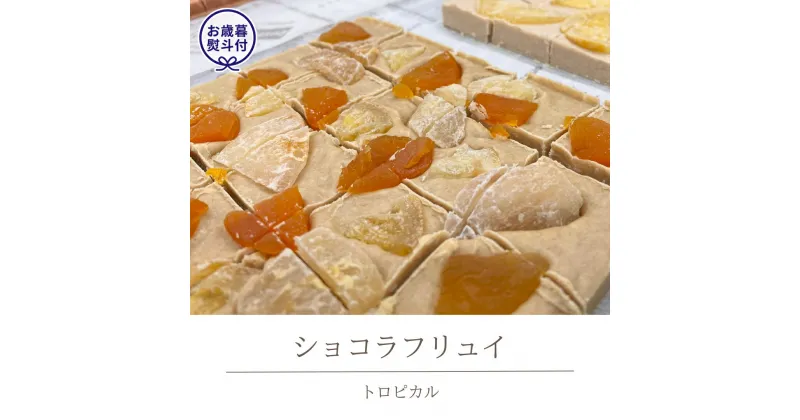 【ふるさと納税】 【お歳暮熨斗付】ショコラフリュイ　トロピカル チョコレート チョコ スイーツ デザート 高級 ギフト 贈り物 お礼 プレゼント 手土産 お菓子