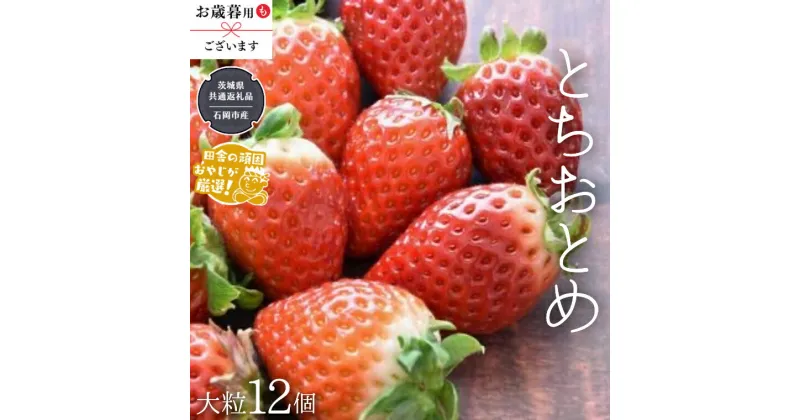 【ふるさと納税】【 桐箱入り 】大粒とちおとめ 【 令和6年12月から発送開始 】（ 県内共通返礼品：石岡市産 ） いちご 苺 イチゴ とちおとめ 桐箱 ギフト 贈答