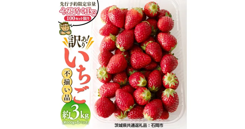 【ふるさと納税】【先行予約限定容量 今だけ+1kg】（訳あり）いちご 3kg（500g×6パック）【令和7年1月から発送開始】（県内共通返礼品：石岡市産） 果物 フルーツ 苺 イチゴ 不揃い わけあり 先行予約 家庭用 アレンジ お菓子作り スイーツ