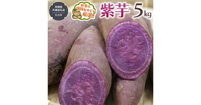 【ふるさと納税】紫芋 5kg 【令和6年12月から発送開始】（県内共通返礼品：行方市産） さつまいも 紫芋 芋 いも 野菜