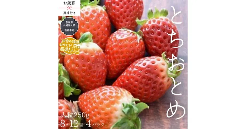 【ふるさと納税】【 お歳暮 熨斗付 】 とちおとめ 〈いちご〉 大粒 250g（8～12粒）×4パック【令和6年12月から発送開始】（県内共通返礼品：石岡市産） いちご 苺 イチゴ とちおとめ