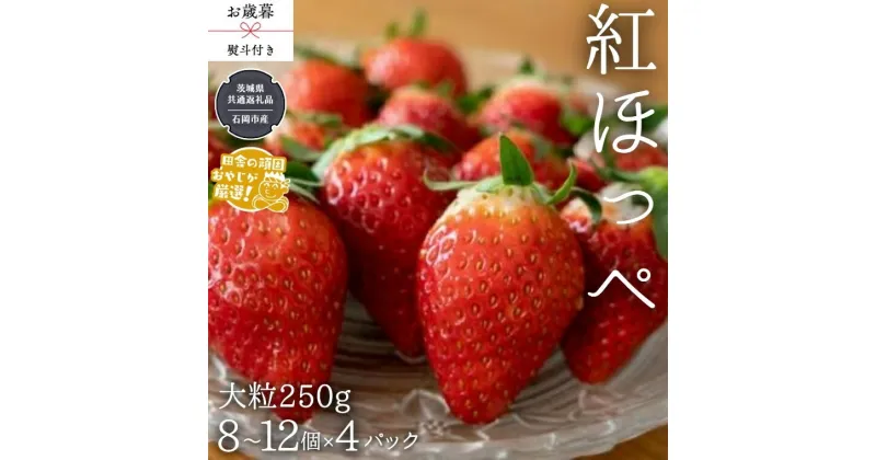 【ふるさと納税】【 お歳暮 熨斗付 】紅ほっぺ〈いちご〉 大粒 250g（8～12粒）×4パック【令和6年12月から発送開始】（県内共通返礼品：石岡市産） いちご 苺 イチゴ 紅ほっぺ