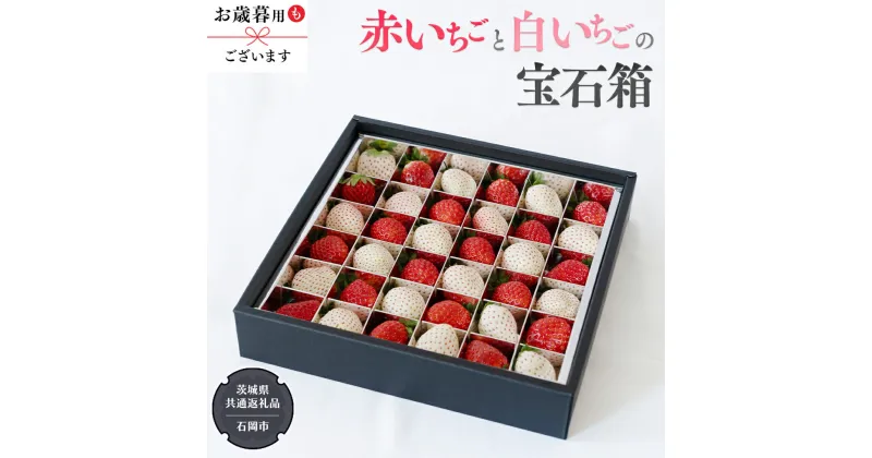 【ふるさと納税】 赤いちご と 白いちご の 宝石箱 【 令和6年12月から発送開始 】 （ 県内共通返礼品：石岡市産 ） いちご 苺 イチゴ 白いちご 白イチゴ 宝石箱 ギフト 贈答