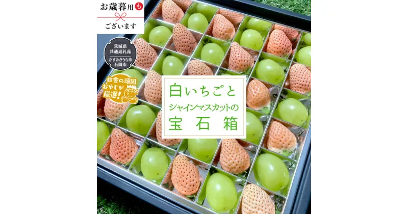 【ふるさと納税】 シャインマスカット と 白いちご の 宝石箱 【 令和6年12月から発送開始 】 （ 県内共通返礼品：石岡市産 ） いちご 苺 イチゴ 白いちご 白イチゴ シャインマスカット マスカット 宝石箱 ギフト 贈答