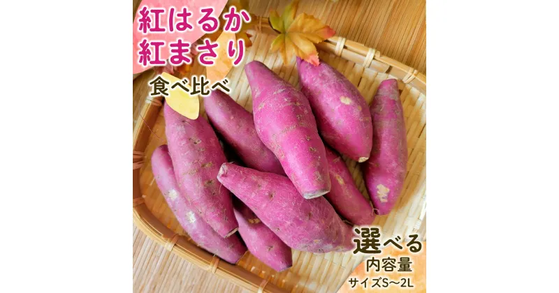 【ふるさと納税】【先行予約】 茨城県産 紅はるか／紅まさり 食べ比べ サイズS～2L さつまいも サツマイモ 紅はるか 紅まさり