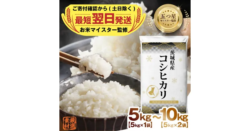 【ふるさと納税】【 最短 翌日配送 】令和6年産 茨城県産 コシヒカリ ＼ 5kg or 10kg ( 5kg ×2) ／ 五つ星 お米マイスター 監修 コシヒカリ こしひかり 国産 5kg 10kg こめ コメ 米 精米 人気 美味しい ランキング ふるさと納税 返礼品