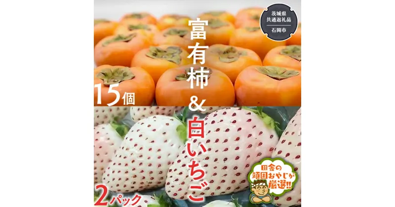 【ふるさと納税】富有柿15個 と 白いちご2パック 【令和6年12月より発送開始】（茨城県共通返礼品：石岡市産） 詰め合わせ 果物 フルーツ 茨城県産