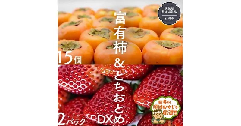 【ふるさと納税】富有柿15個 と とちおとめDX2pk 【令和6年11月より発送開始】（茨城県共通返礼品：石岡市産） 詰め合わせ 果物 フルーツ 茨城県産