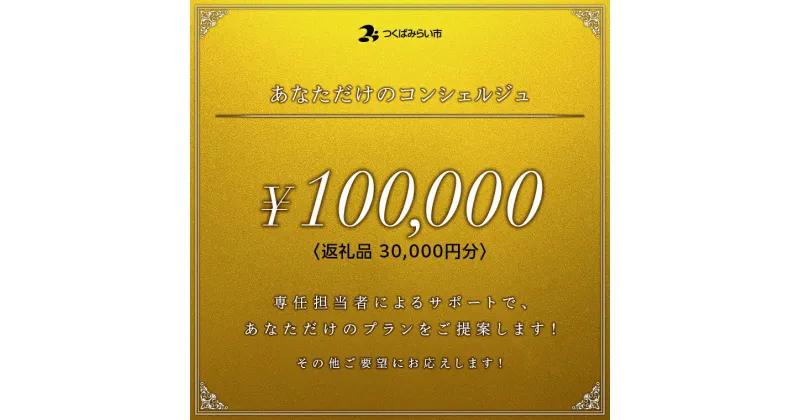 【ふるさと納税】あなただけのコンシェルジュ10万円（商品代金30,000円分）