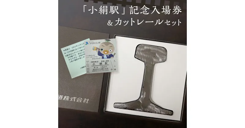 【ふるさと納税】「 小絹駅 」 記念入場券 ・ カットレール セット 鉄道 関東鉄道 常総線 小絹駅 鉄道ファン つくばみらい市 みらいりんぞう ふるさと納税限定