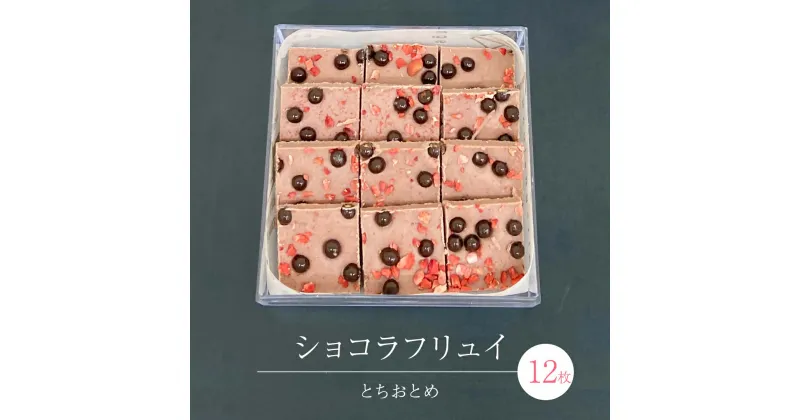 【ふるさと納税】ショコラフリュイ とちおとめ 12枚 チョコレート チョコ スイーツ デザート 高級 ギフト 贈り物 お礼 プレゼント 手土産 お菓子