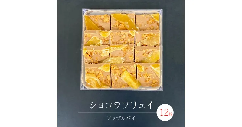 【ふるさと納税】ショコラフリュイ アップルパイ 12枚 チョコレート チョコ スイーツ デザート 高級 ギフト 贈り物 お礼 プレゼント 手土産 お菓子