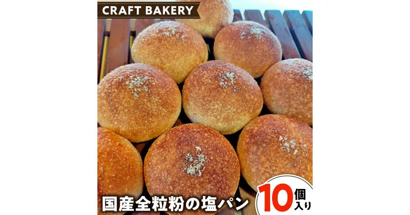 【ふるさと納税】全粒粉 の 塩パン （ 国産全粒粉 ）【 10個 入り 】 塩パン 全粒粉 パン 乳卵不使用 食物繊維 ヘルシー 冷凍