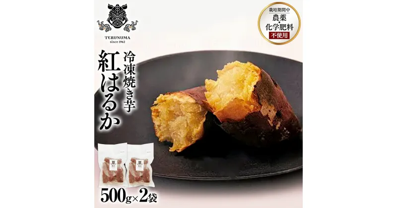 【ふるさと納税】 冷凍 焼き芋 1kg(500g×2袋) ギフト BOX 入 つくばみらい さつまいも 紅はるか いも 照沼 食物繊維 農薬不使用 化学肥料不使用 不使用