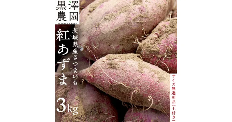 【ふるさと納税】【茨城県産】さつまいも 紅あずま 3kg サイズ無選別品(土付き) 芋 サツマイモ 甘い 焼き芋 国産 おいしい 天ぷら 煮物 スープ 大学芋