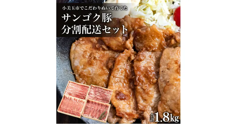 【ふるさと納税】サンゴク豚（分割配送セット） 合計1.8kg（900g×2回）【定期便】 しゃぶしゃぶ 焼き肉 豚肉 豚バラ肉 ロース 小分け 真空パック 豚しゃぶ しゃぶしゃぶ肉 焼肉用 お鍋用 ブタ肉 国産 茨城県産 ギフトプレゼント 高級部位 2－A