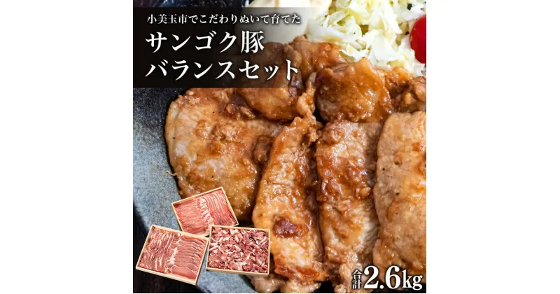 【ふるさと納税】サンゴク豚（バランスセット） 合計2.6kg しゃぶしゃぶ 焼き肉 豚肉 豚バラ肉 ロース 小分け 真空パック しゃぶしゃぶ肉 焼肉用 お鍋用 ブタ肉 国産 茨城県産 ギフト プレゼント 高級部位 2−B