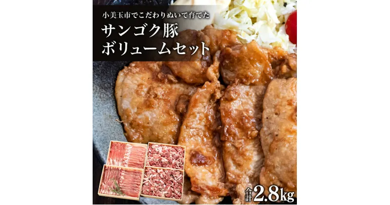 【ふるさと納税】サンゴク豚（ボリュームセット） 合計2.8kg しゃぶしゃぶ 焼き肉 豚肉 豚バラ肉 ロース 小分け 真空パック しゃぶしゃぶ肉 焼肉用 お鍋用 ブタ肉 国産 茨城県産 ギフト プレゼント 冷蔵 高級部位 2−C