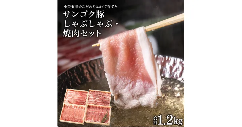 【ふるさと納税】サンゴク豚 しゃぶしゃぶ・焼き肉セット 1.2kg 豚バラ肉 豚バラスライス ロース ローススライス 薄切り うす切り 豚肉 小分け 真空パック しゃぶしゃぶ 豚しゃぶ 焼肉 国産 茨城県産 1.2キロ 1200g ブタ肉 ギフト プレゼント 贈り物 贈答用 内祝い 2−K