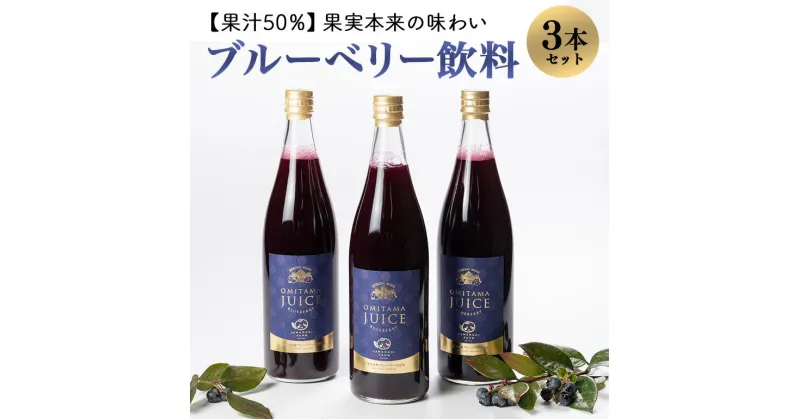 【ふるさと納税】果汁50％ブルーベリー飲料3本セット ブルーベリー ブルーベリー飲料 フルーツ 果物 フルーツジュース ジュース ビタミンE アントシアニン 栄養 目にいい 健康 美容 瞳の健康 ギフト 贈り物 茨城県産 人気 プレゼント セット ドリンク 9－A