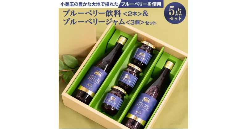 【ふるさと納税】果汁50％ブルーベリー飲料2本＆ブルーベリージャム3個セット ブルーベリー ジュース ジャム ブルーベリージャム ブルーベリージュース フルーツ ビタミンE ドリンク 栄養 目にいい 美容 ギフト 贈り物 茨城県産 セット 詰め合わせ お祝い 美味しい 9－G