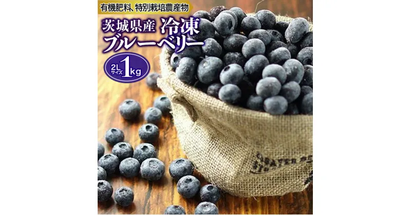 【ふるさと納税】冷凍ブルーベリー 1kg 茨城県産 国産 無農薬 有機栽培 有機肥料 特別栽培 1キロ 冷凍 送料無料 ブルーベリージャム フルーツ 果物 くだもの ケーキ作り お菓子 スイーツ 贈り物 贈答用 内祝い ギフト 小分け 9-I 【6月下旬から順次発送予定】