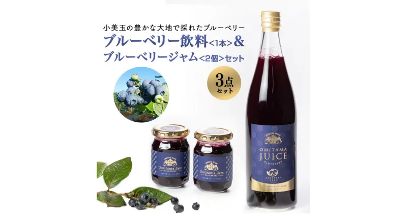 【ふるさと納税】果汁50％ブルーベリー飲料1本＆ブルーべリ－ジャム2個セット ブルーベリー ジュース ジャム ブルーベリージャム ブルーベリージュース フルーツ ビタミンE ドリンク 栄養 目にいい 美容 ギフト 贈り物 茨城県産 セット 詰め合わせ お祝い 美味しい 9－K