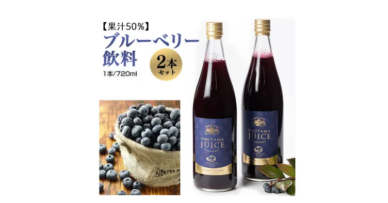 【ふるさと納税】果汁50％ブルーベリー飲料2本セット ブルーベリー ブルーベリー飲料 フルーツ 果物 フルーツジュース ジュース ビタミンE アントシアニン 栄養 目にいい 健康 美容 瞳の健康 ギフト 贈り物 茨城県産 人気 プレゼント セット ドリンク 9－L