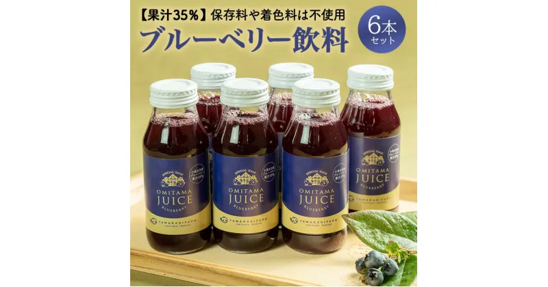 【ふるさと納税】果汁35％ブルーベリー飲料6本セット（180ml×6） 国産 茨城県産 ブルーベリー 特別栽培 無添加 ブルーベリージュース ジュース ギフト 朝どれ 朝採り フルーツ ドリンク 栄養 健康 美容 贈り物 お見舞い 詰め合わせ 9-N