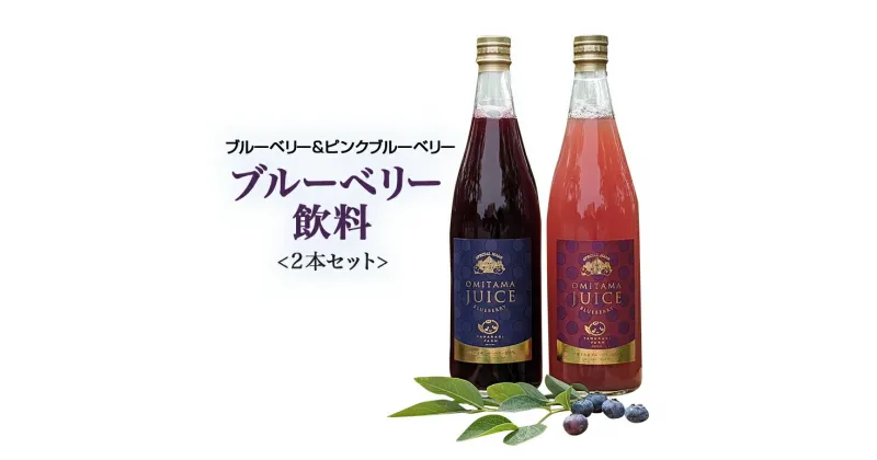 【ふるさと納税】果汁50％ピンクブルーベリー飲料1本、果汁50％ブルーベリー飲料1本（化粧箱入り） ブルーベリー ブルーベリー飲料 ピンクブルーベリー フルーツ 果物 ジュース ビタミンE アントシアニン 目にいい 健康 美容 ギフト 贈り物 茨城県産 セット ドリンク 9－P