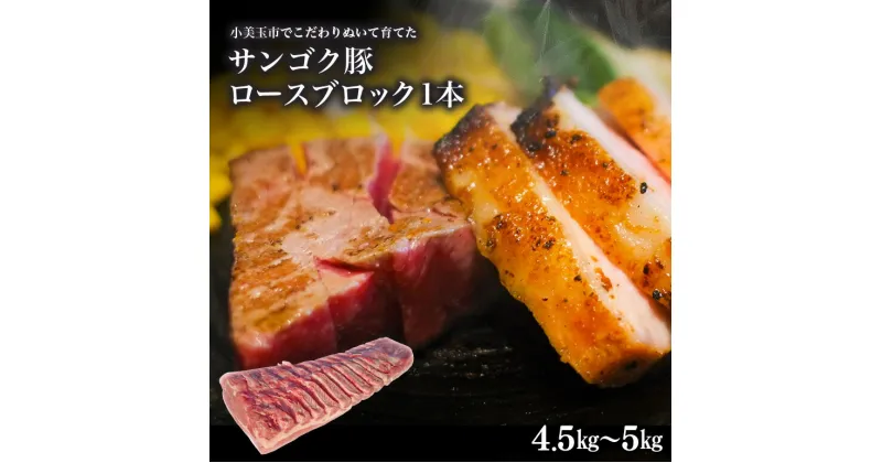 【ふるさと納税】脂身が甘い！サンゴク豚（ロース1本）4.5kg～5kg 豚肉 ブタ肉 国産 茨城県産 ギフト プレゼント 冷蔵 2－E