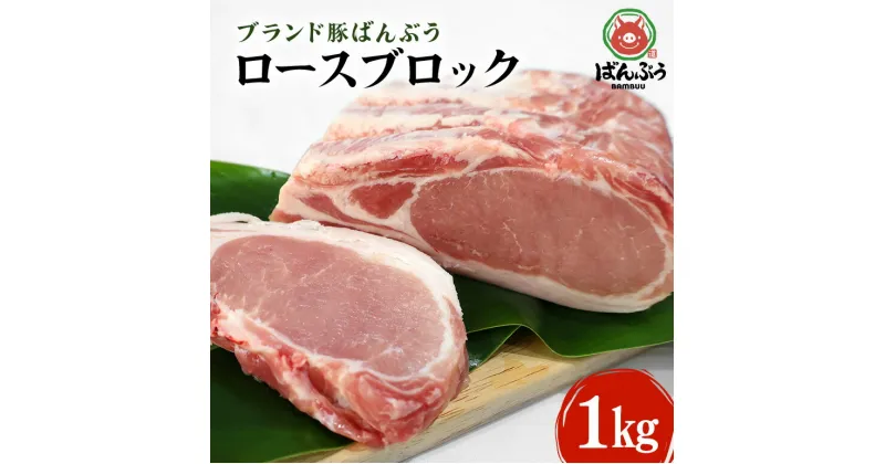 【ふるさと納税】ブランド豚「ばんぶぅ」ロースブロック1kg ばんぶぅ 豚肉 ロース ブロック肉 しゃぶしゃぶ 焼き肉 真空パック しゃぶしゃぶ肉 焼肉用 お鍋用 ブタ肉 国産 茨城県産 ギフト プレゼント 冷蔵 高級部位 ブランド豚 42－A