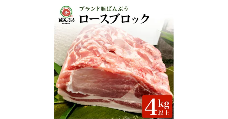 【ふるさと納税】ブランド豚「ばんぶぅ」ロースブロック1本 ばんぶぅ 豚肉 ロース ブロック肉 しゃぶしゃぶ 焼き肉 真空パック しゃぶしゃぶ肉 焼肉用 お鍋用 ブタ肉 国産 茨城県産 ギフト プレゼント 冷蔵 高級部位 ブランド豚 42－B