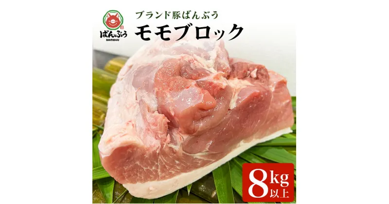 【ふるさと納税】ブランド豚「ばんぶぅ」モモブロック1本（8kg以上）ばんぶぅ 豚肉 モモ もも肉 モモブロック ブロック肉 モモ肉 しゃぶしゃぶ 焼き肉 真空パック しゃぶしゃぶ肉 焼肉用 お鍋用 ブタ肉 国産 茨城県産 ギフト プレゼント 冷蔵 高級部位 ブランド豚 42－H