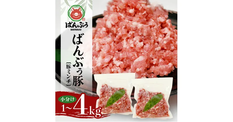 【ふるさと納税】ブランド豚「ばんぶぅ」小分け ミンチ 選べる 1kg 2kg 4kg 冷凍便 1キロ 大容量 たっぷり 豚肉 豚ミンチ 豚ひき肉 豚挽き肉 豚挽肉 キーマカレー ぶた肉 ブタ肉 国産 茨城県産 ギフト プレゼント お祝い ご褒美