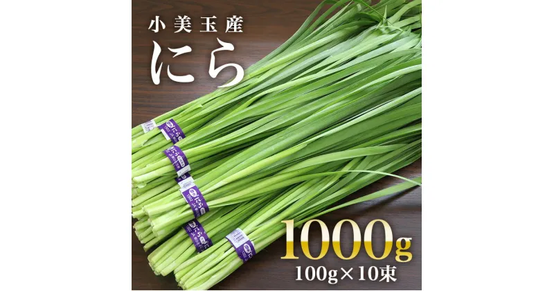 【ふるさと納税】小美玉市産にら 100g×10束 茨城 国産 ニラ 生 香味野菜 料理 惣菜 おかず 1kg 17-AA (5月～11月発送予定)