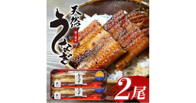 【ふるさと納税】霞ヶ浦産天然うなぎ 蒲焼き 大 2尾（100～130g×2）うなぎ 国産 天然 ウナギ 鰻 約170g 国産うなぎ 国産ウナギ 国産鰻 天然うなぎ 天然ウナギ 天然鰻 茨城県産 無添加 保存料不使用 冷凍 49-B