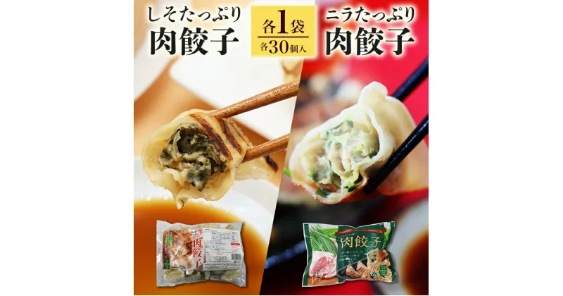 【ふるさと納税】【数量限定】 ニラたっぷり肉餃子・しそたっぷり肉餃子 各1袋 ニラたっぷり肉餃子30個 しそたっぷり肉餃子30個 ぎょうざ ギョウザ 餃子 ニラ にら しそ シソ ローズポーク 豚肉 小美玉産 茨城県産 名産 冷凍 17-AP