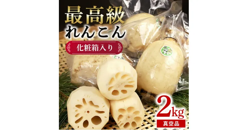 【ふるさと納税】【最高級Bigれんこん珠美】最良品（真空品）2kg 贈答用 化粧箱入り 77-A