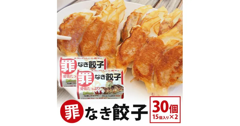 【ふるさと納税】【最高級Bigれんこん珠美使用】冷凍罪なき餃子（20g×15個入）2パックセット 77-E