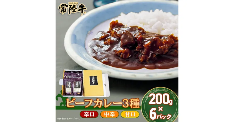 【ふるさと納税】206茨城県産黒毛和牛「常陸牛ビーフカレー」（200g×6パック）